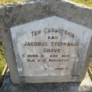 GROVE Jacobus Stephanus 1885-1946