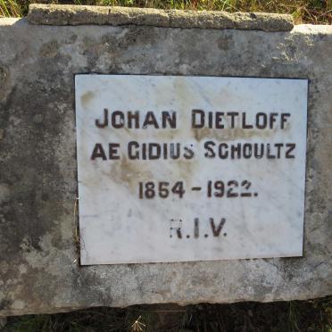 SCHOULTZ Johan Dietloff Aegidius 1854-1922