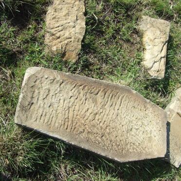 SMIT ?na C. 190?-1919