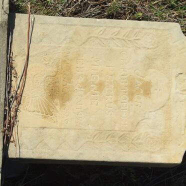 MIENIE Jacob Christoffel Petrus 1921-1922