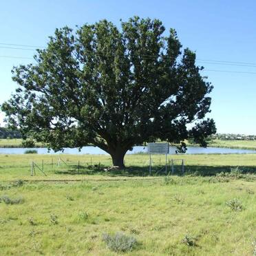 3. Overview on cemetery