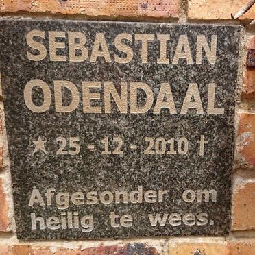 ODENDAAL Sebastian 2010-
