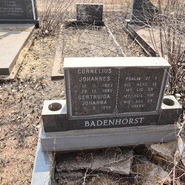 BADENHORST Cornelius Johannes 1902-1982 & Gertruida Johanna 1909-