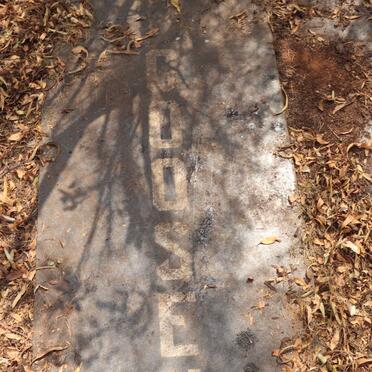 GOOSEN Antonie Christoffel 1909-1990 & Maria M. FOUCHE 1914-1981 _1