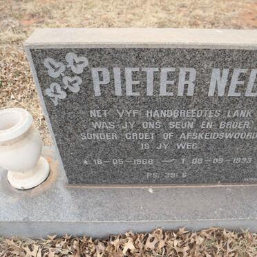 NEL Pieter 1968-1993