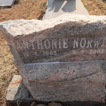 NORWIE Anthonie 1963-2003