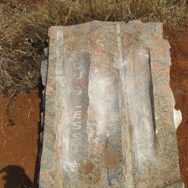 PLESSIS Jean P., du 1994-2001 _1