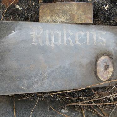 RIPKENS Heinrich Johann Wilhelm 1915-1984 & Susanna Magdalena WILSON 1930- _1