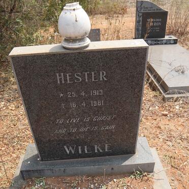 WILKE Hester 1913-1981