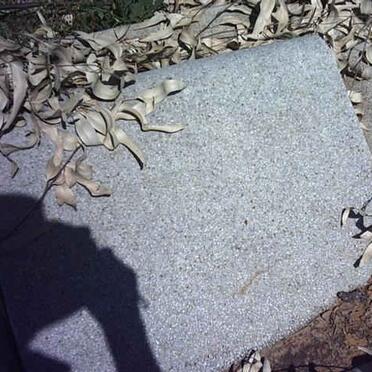 BOTHA Adriana Cornelie nee VERMEULEN 1892-1945