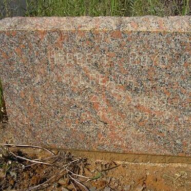 CREAGH Herbert Boyd 1883-1982