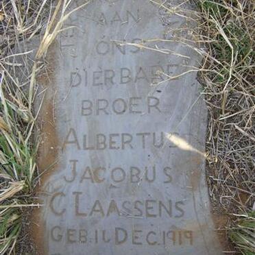 CLAASSENS Albertus Jacobus 1919-1920