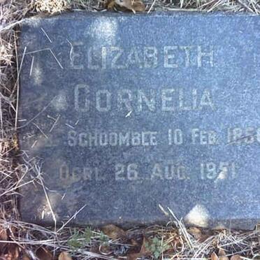 DEALE Elizabeth Cornelia nee SCHOOMBEE 1856-1951