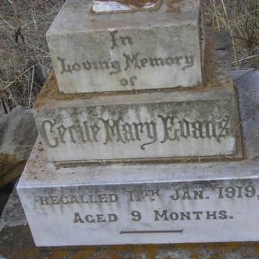 EVANS Cerile Mary -1919