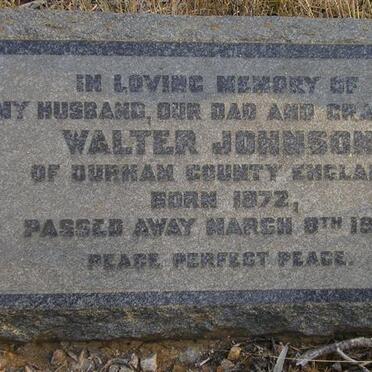 JOHNSON Walter 1872-1944