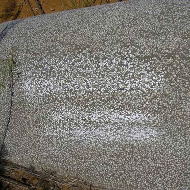 KRUGER Andries B.J. -1963