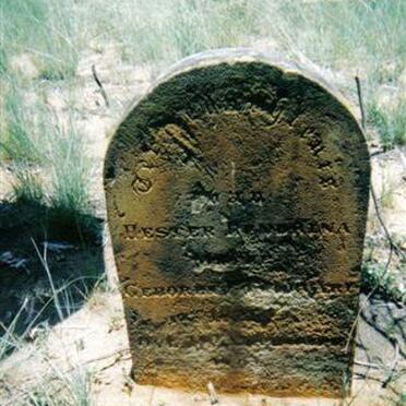 MEYER Hester Hendrina 1825-1894