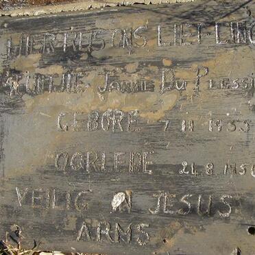 PLESSIS Jannie, du 1955-1956