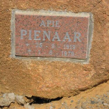 PIENAAR Apie 1919-1979