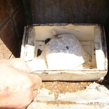 KLEYNHANS Ernst Lodewyk 1941-1996