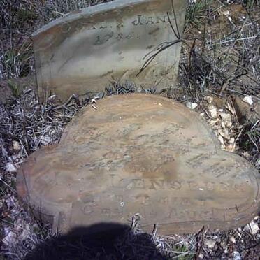 RENSBURG Johanna M. J.,van, nee VISAGIE 1845-1935