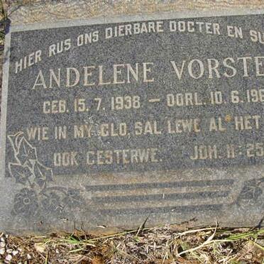 VORSTER Andelene 1938-1962