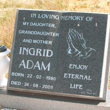 ADAM Ingram 1980-2008
