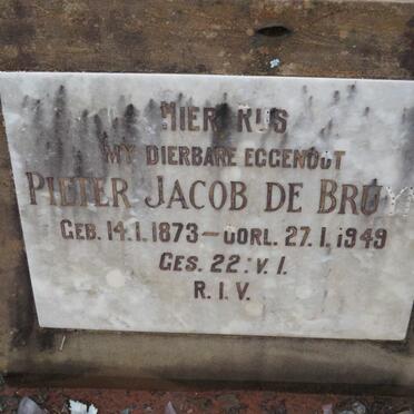 BRUYN Pieter Jacob, de 1873-1949