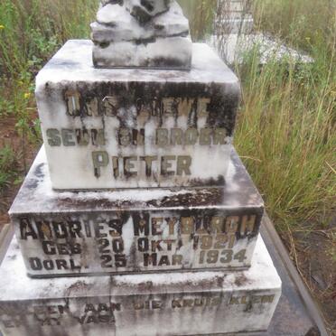 M-Surnames :: M-Vanne 