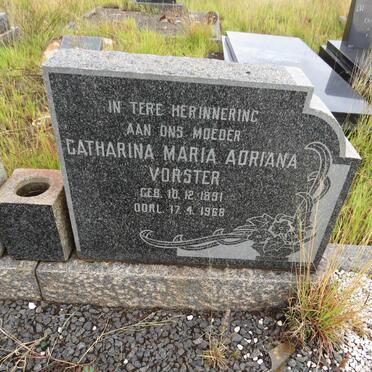 VORSTER Catharina Maria Adriana 1891-1968