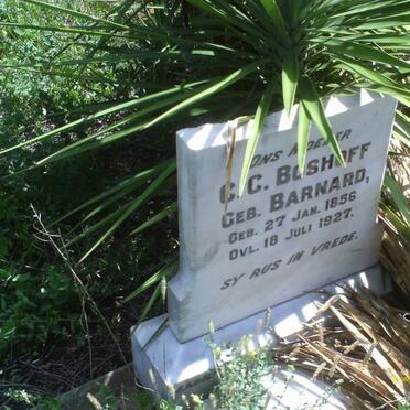 BOSHOFF C.C. nee BARNARD 1856-1927