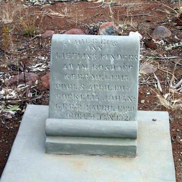 BOSHOFF Adam 1915-1917 :: BOSHOFF Cornelia Johanna 1920-1921