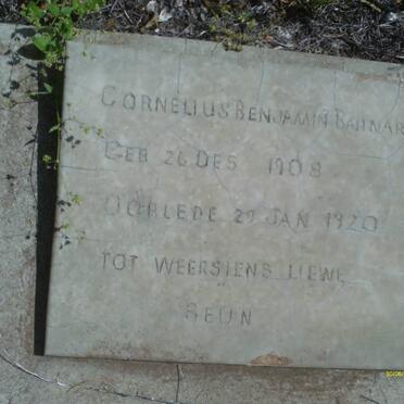 BARNARD Cornelius Benjamin 1908-1920