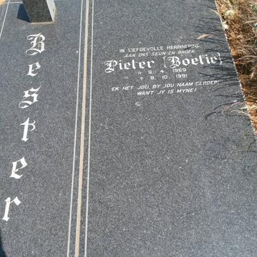BESTER Pieter 1969-1991