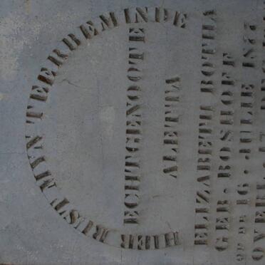 BOTHA Aletta Elizabeth nee BOSHOFF 1877-1918