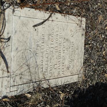 D - Vanne :: Surnames - D