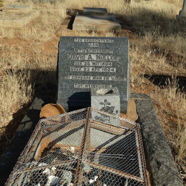 MULLER David A. 1864-1924