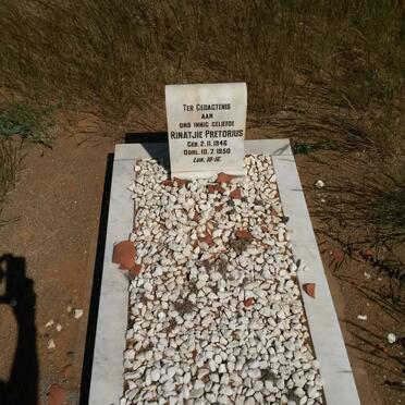 PRETORIUS Rinatjie 1946-1950