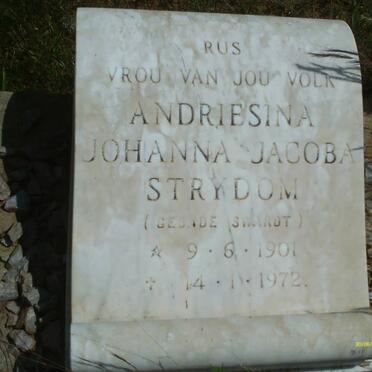 STRYDOM Andriesina Johanna Jacoba nee DE SWARDT 1901-1972