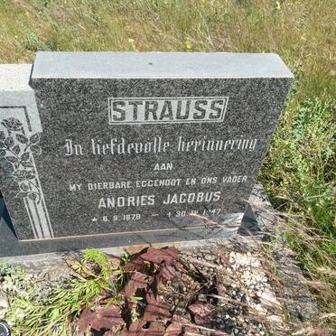 STRAUSS Andries Jacobus 1878-1947