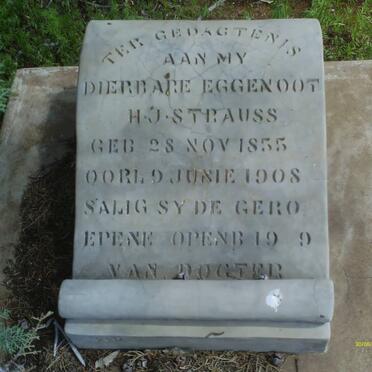 STRAUSS H.J. 1855-1908