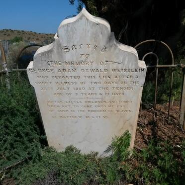 WEISSLEIN George Adam Oswald -1880