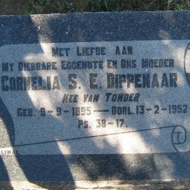 DIPPENAAR Cornelia S.E. nee VAN TONDER 1895-1952