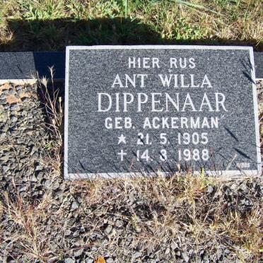 DIPPENAAR Ant Willa geb ACKERMAN 1905-1988
