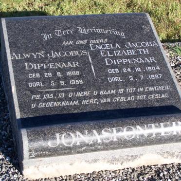 DIPPENAAR Alwyn Jacobus 1888-1959 &amp; Engela Jacoba Elizabeth 1904-1997