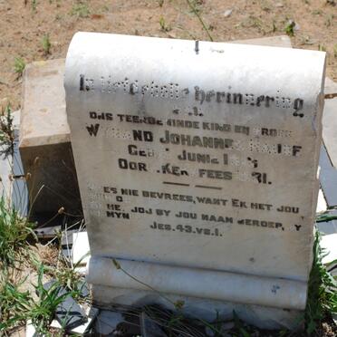 NAUDE Wynand Johannes 1913-1931