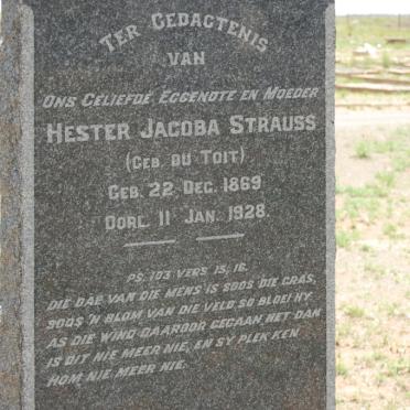 STRAUSS Hester Jacoba nee DU TOIT 1869-1928