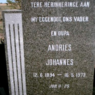 SCHLEBUSCH Andries Johannes 1894-1973 