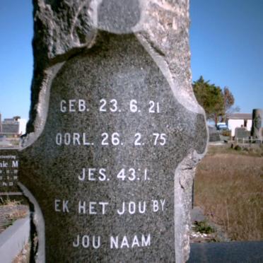 STRAUSS Jemima 1921-1975