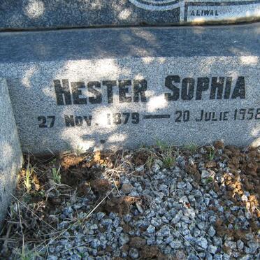 VENTER Daniel Michiel 1875-1950 &amp; Hester Sophia 1879-1958 